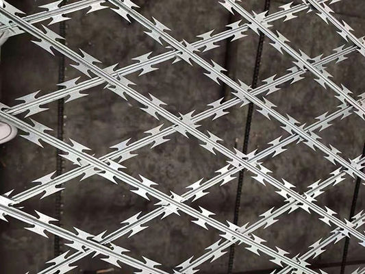DIN1.4301 Welded Wire Mesh AISI304 Razor Mesh Fence Customized