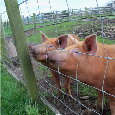 Green Cattle Fence Mesh Grassland Horse Wire Netting