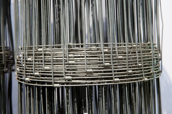Green Cattle Fence Mesh Grassland Horse Wire Netting