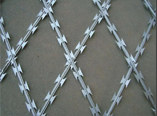 75mmx150mm Welded Razor Wire Mesh Rot Proof Function