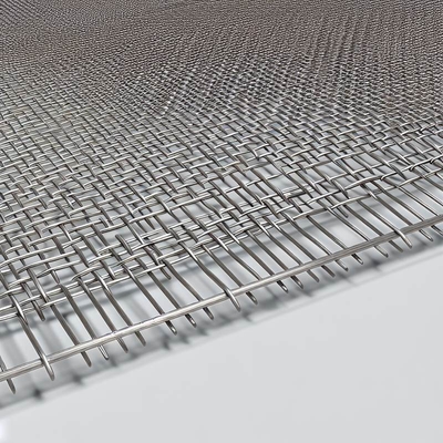 Stainless Steel Woven Screen Mesh Nature with 0.6mm 0.7mm 0.8mm 0.9mm 1.0mm 1.6mm Wire Diameters